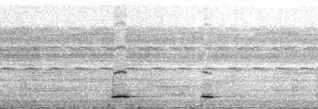 Tinamou à calotte noire - ML184905