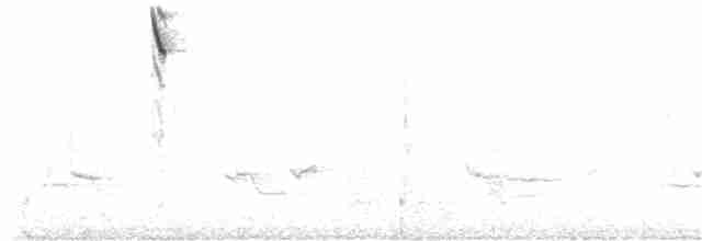 Саванная овсянка [группа sandwichensis] - ML184969361