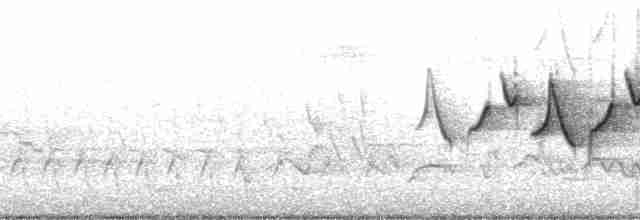Common Yellowthroat - ML184995