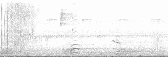 Американский бекасовидный веретенник - ML185019311