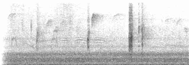 vlhovec červenokřídlý [skupina phoeniceus] - ML185123801