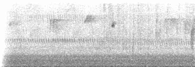 キヅタアメリカムシクイ（coronata） - ML185123991