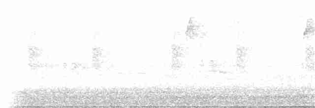 Haarspecht [villosus-Gruppe] - ML185124951