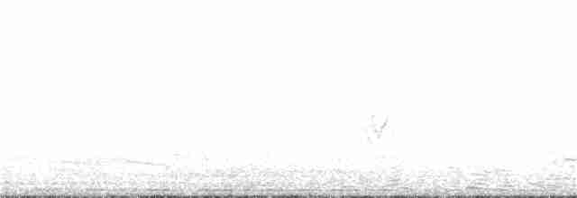 Black-bellied Tern - ML185201991