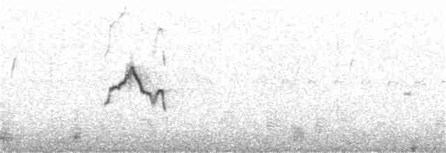 裏海燕鷗 - ML185202281