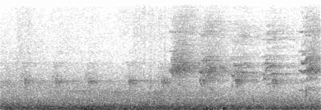 ledňáček obojkový [skupina humii] - ML185204691