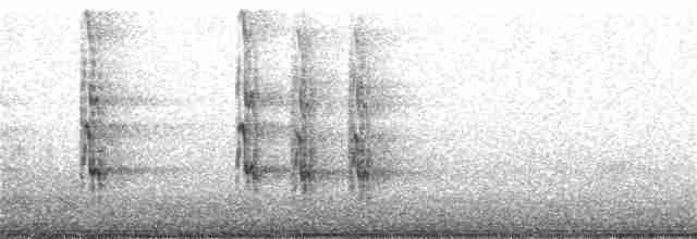 Ошейниковый зимородок - ML185204731