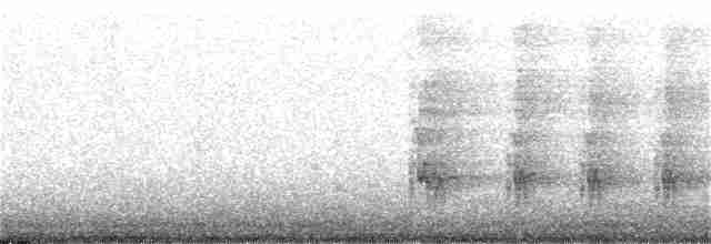 Ошейниковый зимородок - ML185204821