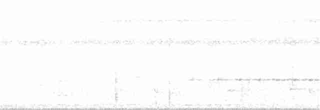 Tüpfelkronen-Ameisenvogel - ML185209771