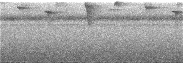 Зубцеклювый колибри - ML185227091