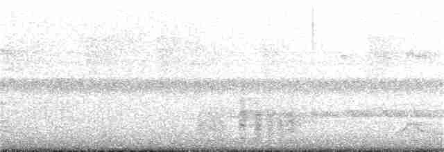 Лінивка-чорнопер жовтодзьоба - ML185227901