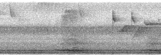 Feuerhornvogel - ML18523
