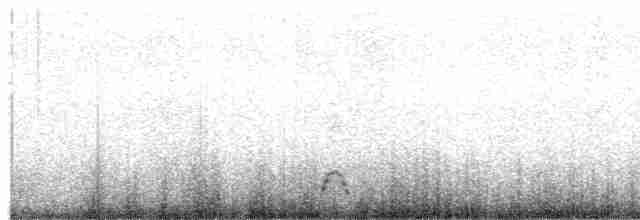 Голубокрылый гусь - ML185232741