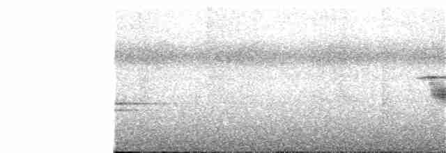 Андский кларино - ML185235191