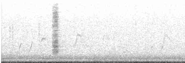 Black-tailed Gnatcatcher - ML185239921