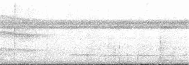 Çift Şeritli Taçlı Tiran - ML185268311