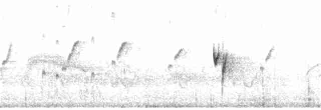 ネズミメジロハエトリ - ML185291451