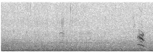 Horned Grebe - ML185301121
