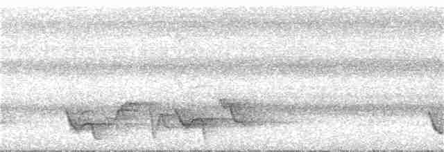 Mielero Carunculado de Viti Levu - ML185309631