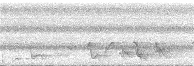 Mielero Carunculado de Viti Levu - ML185309671