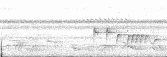 Pazifikscharlachschnäpper - ML185309711