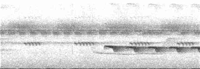 Zeledon Karıncakuşu - ML185347021