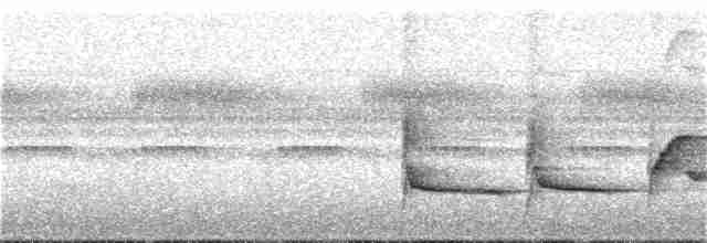 Kurum Başlı Çıtkuşu - ML185347051