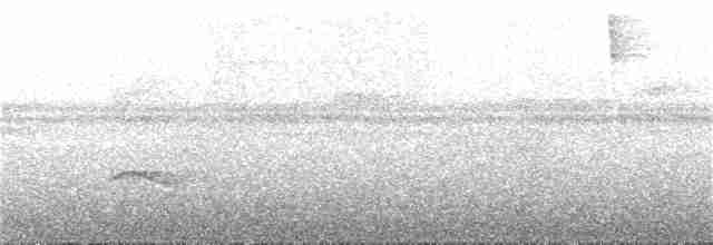 Темноголовый крапивник - ML185347091