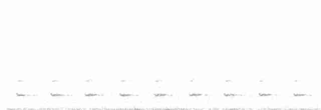 Chevêchette australe - ML185413321