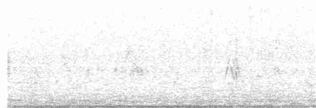 Lesser Whitethroat (halimodendri) - ML185465661