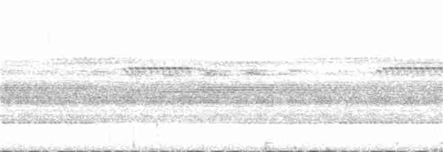 Сичик-горобець світлоголовий - ML185504221