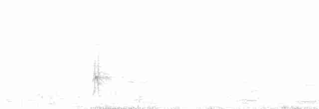 datlík smrkový (ssp. dorsalis) - ML185518151