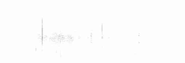 Australian Reed Warbler - ML185568491