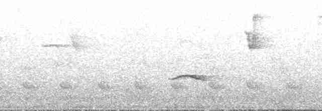 Ockerstirn-Ameisenpitta - ML185604