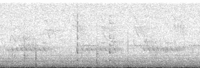 Tangara de Rieffer - ML185622