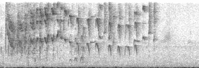 Reinita Citrina (striaticeps) - ML185627
