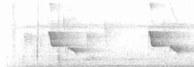 Black-throated Shrike-Tanager - ML185631711