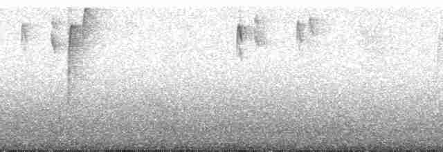 Корольковая танагра - ML185662