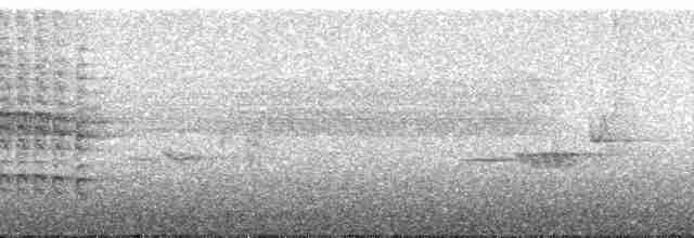 Tangara de Rieffer - ML185663