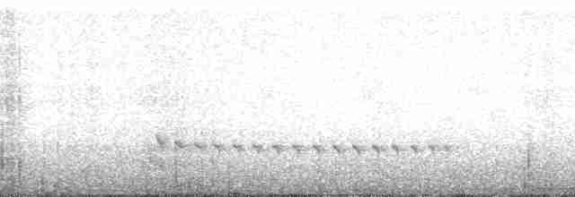 Ekvatoryal Yerçavuşu - ML185668
