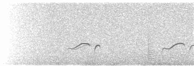 Длинноногая тиркушка - ML185670481