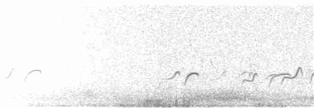 Длинноногая тиркушка - ML185670601