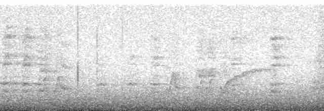 Tangara de Rieffer - ML185671