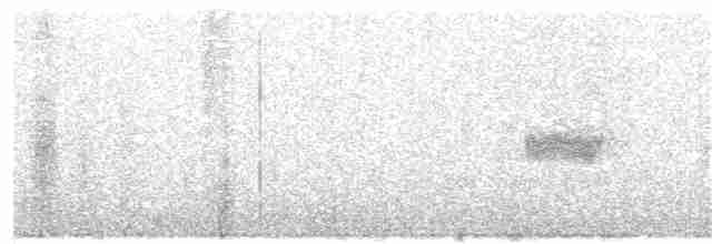 Серый сорокопут - ML185671721