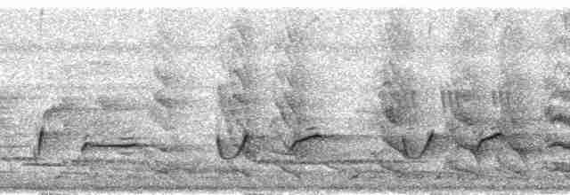 Trillerschneidervogel - ML18569