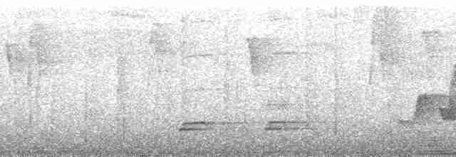 Ak Karınlı Yerçavuşu - ML185690