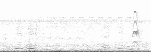 White-eyed Buzzard - ML185697921