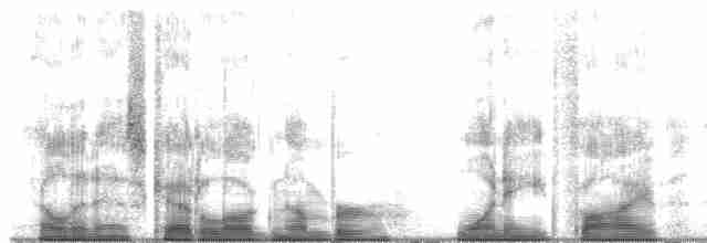 Краснохвостый канюк (kemsiesi/hadropus) - ML185711