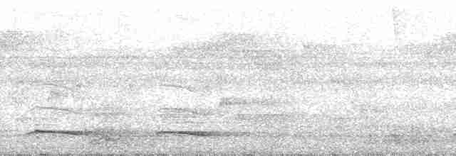 Trogón de Baird - ML185778