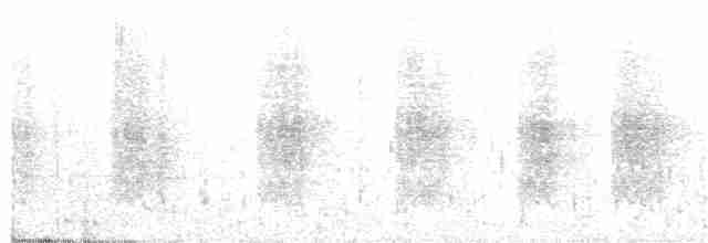 Turuncu Ardıç - ML185830231